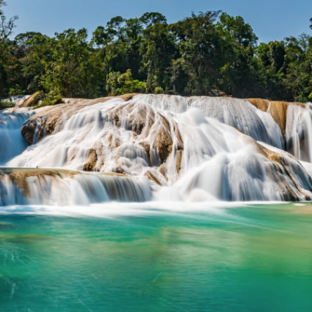 Captura de pantalla 2025-12-23 a la(s) 12.29.42 p.m.